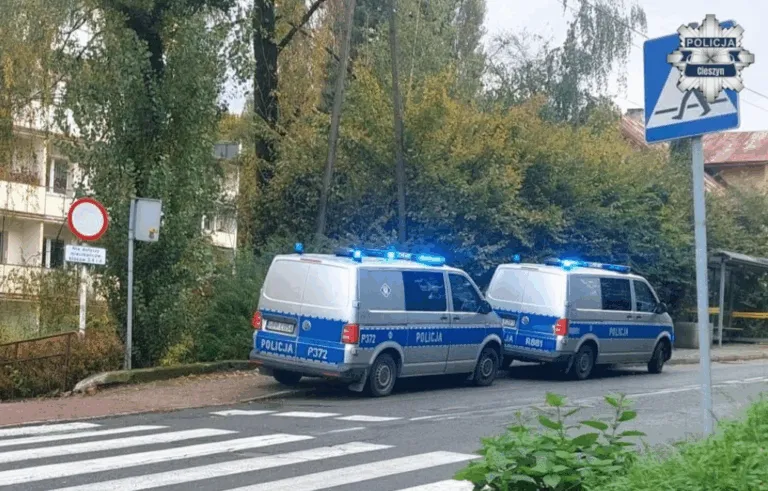 Nie Zyje 88 Letni Mezczyzna Potracony Przez Cofajacy Samochod Na Parkingu W Cieszynie