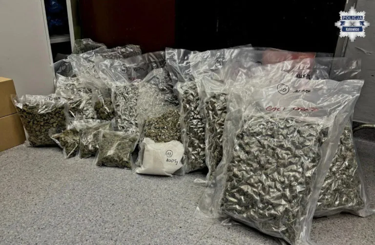 Katowiccy Policjanci Przechwycili Blisko 15 Kg Narkotykow Od Pseudokibicow