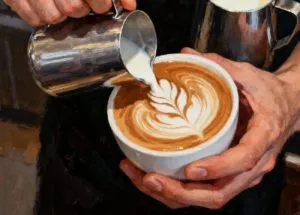 Zabrze Krosno I Kutno Z Najtans