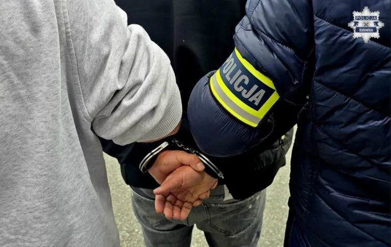 Zatrzymano 32 Latka Podejrzanego O Atak Na 83 Letnia Kobiete W Katowicach Przy Ul. Jesionowej