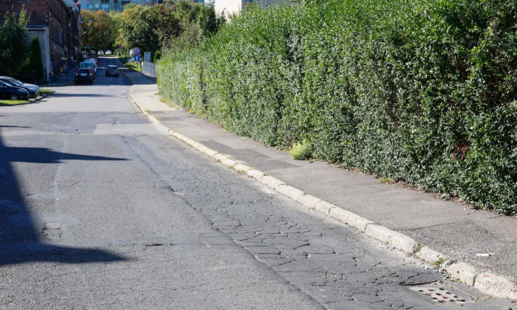 Ul.Karlowicza W Katowicach Fot KAW