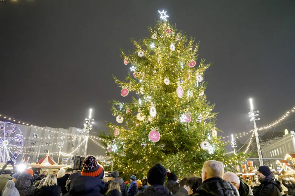 Choinka Na Katowickim Rynku Rozblysla Tysiacami Swiatelek Fot. T. Kawka