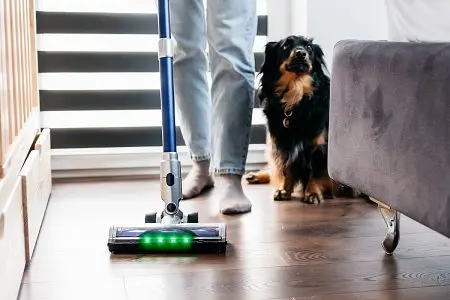 Co Pokazuja Realne Wybory Uzytkownikow