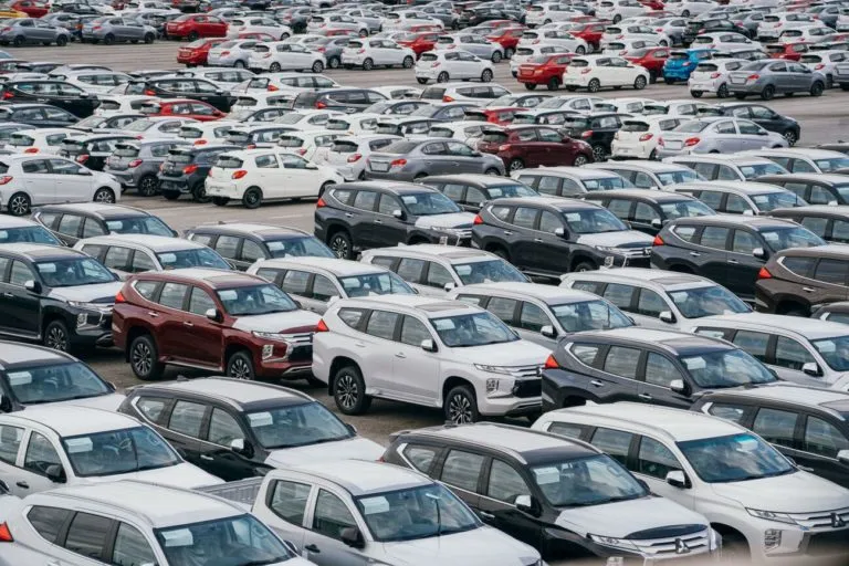 Badz Swiadkiem Bezproblemowego P