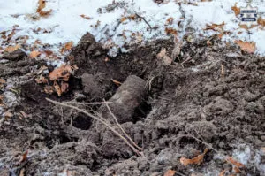 Katowiccy Policjanci Zabezpieczyli Materialy Wybuchowe Odnalezione Na Terenach Lesnych Nieopodal Ul. Brygadzistow