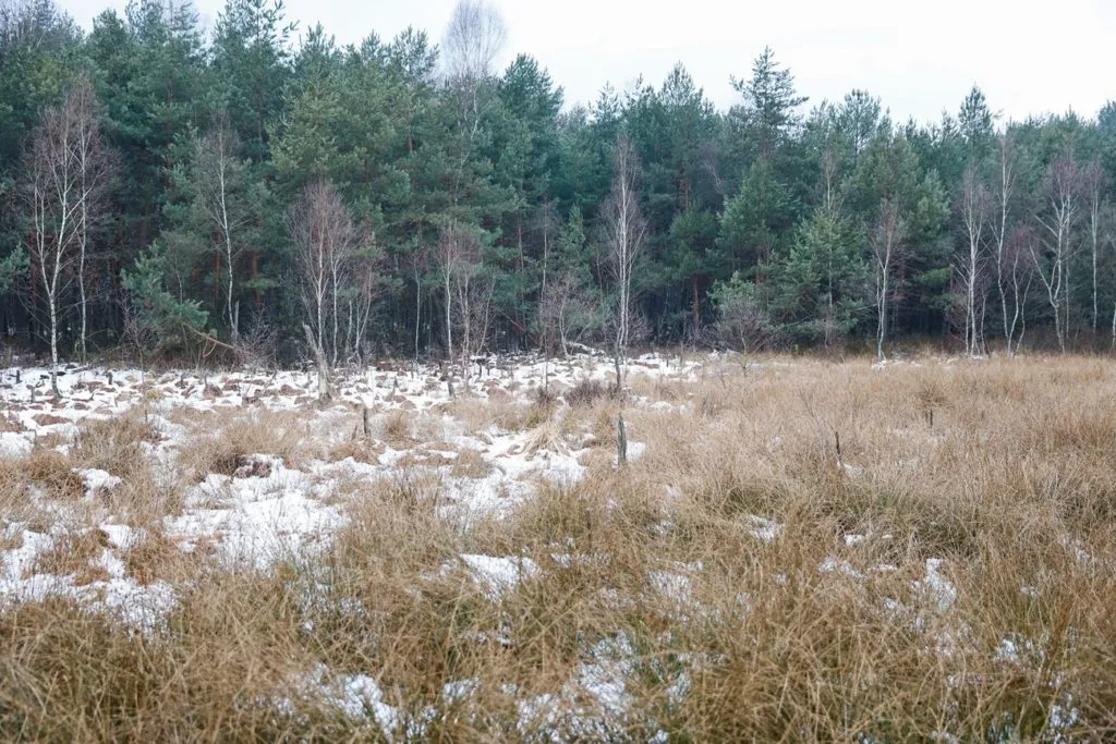 Naturalna Tarcza Dla Klimatu I Bioroznorodnosci Mokradla. K