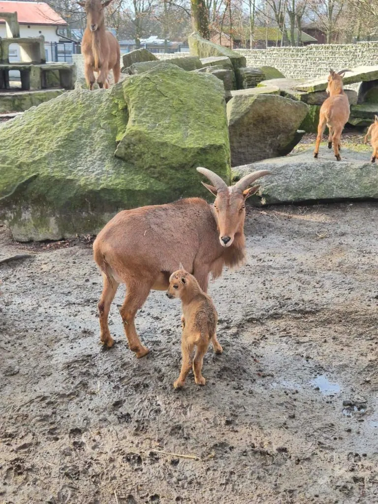 ARUI Fot. D. Zalocha 1