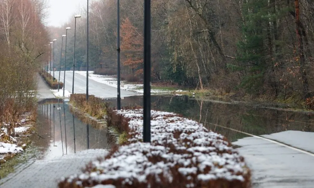 Katowice Ruszy Naprawa Rolkostrady W Dolinie Trzech Stawow Za 39 Mln Zl