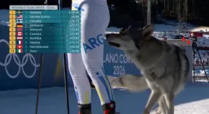 Pies Wbiegl Na Trase Olimpijska. Niezwykle Zdarzenie Podczas Kwalifikacji Sprintu Druzynowego