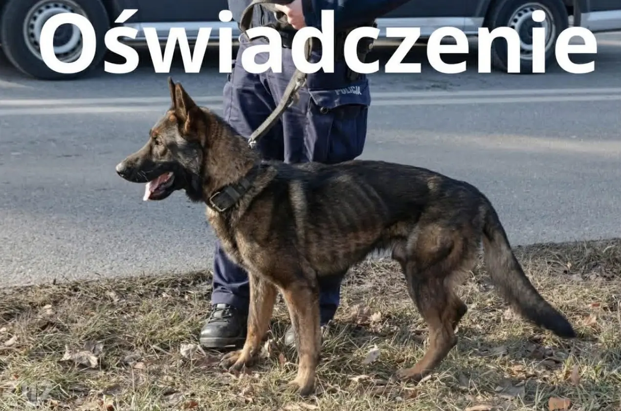 Zdjecie Z Portalu Spolecznosciowego Facebook