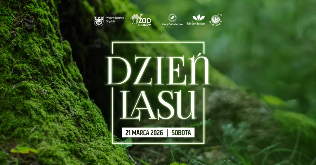 DzienLasu SOZ