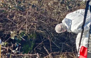 Odkrycie Zwlok Zaginionego Obywatela Polski W Wielkiej Brytanii. Efekt Miedzynarodowej Wspolpracy Policji