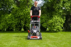 Pierwsze Wiosenne Koszenie Trawy Kiedy Najlepiej Wyciagnac Kosiarke.JPG