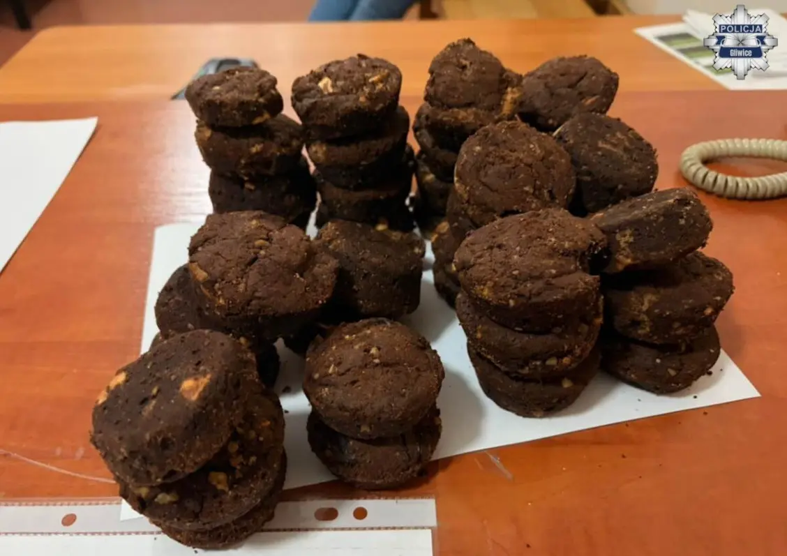 Iastka Z Marihuana Zabezpieczone Przez Policje 39 Latek Aresztowany Fot Policja Gliwice
