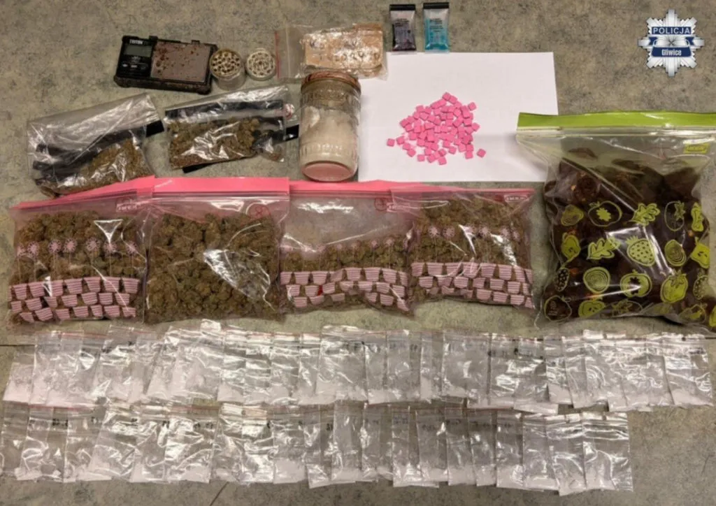 Iastka Z Marihuana Zabezpieczone Przez Policje 39 Latek Aresztowany Foto Policja Gliwice